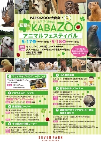 KABAZOOポスター