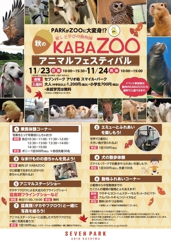 KABAZOOポスター