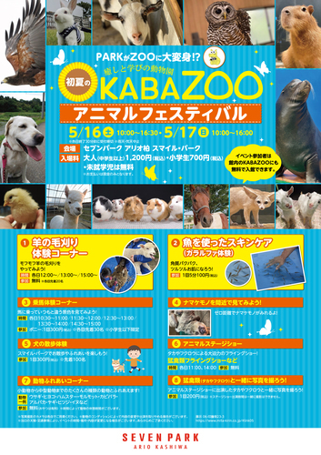 KABAZOOポスター