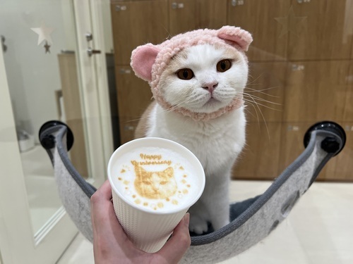 ラテアートの画像