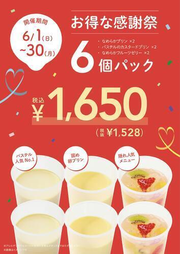 お得な感謝祭6個プリンパック