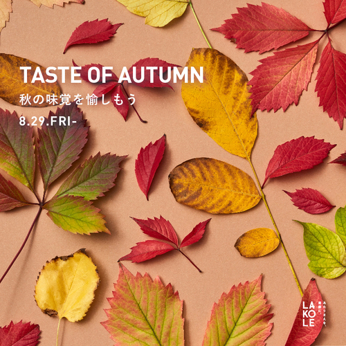 TASTE OF AUTUMN 秋の味覚を愉しもう