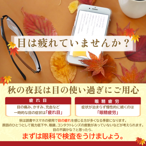 秋の夜長は目の使い過ぎにご用心