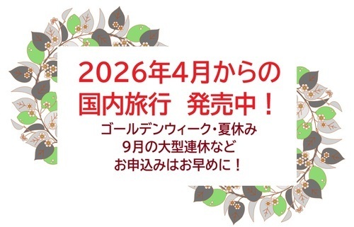 上期国内商品発売