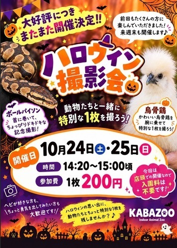 ハロウィン撮影会