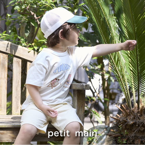 petit mainの画像